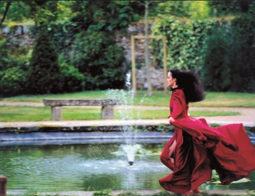 Belle… Au Bois Dormant de Larmes écarlates de Karine Saporta au Dansoir et exposition SNCF