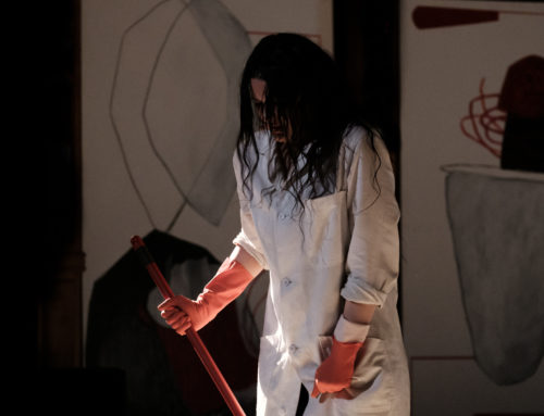 L&rsquo;Immaculée – spectacle de Karine Saporta au Dansoir