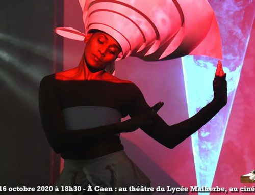 LDWTV – Focus sur le Festival « Je danse… Donc je suis », troisième édition