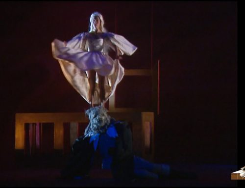 LDWTV –  ‘Le bal du siècle’  – Spectacle de Karine Saporta à l’ouverture du Festival de Cannes