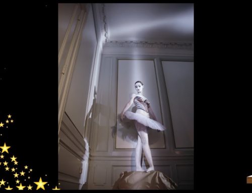 LDWTV –  » L&rsquo;art en lumières  » –  Des cadeaux personnalisés avec des photographies de Karine Saporta