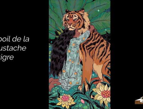 LDWTV –  &lsquo;Chuu…t écoute Martine&rsquo; – &lsquo;Il était une fois… Au pays des contes du voyage&rsquo;