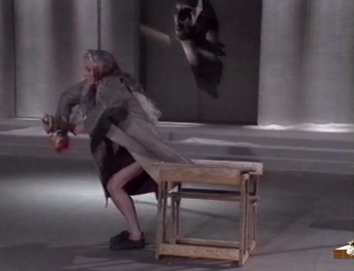 LDWTV –  La fiancée aux yeux de bois, spectacle chorégraphique de Karine Saporta