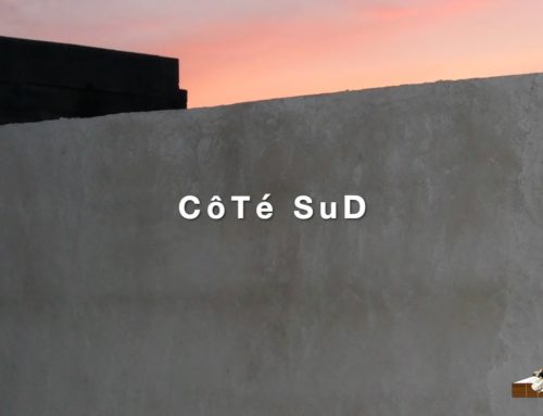 LDWTV – Actualités artistiques du sud, par Georges Cazenove