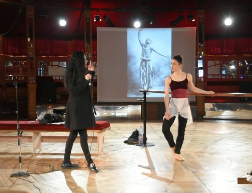 LE DANSOIR WEB TV – Les ateliers du Dansoir