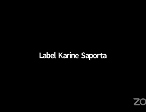 LDWTV – Cours de Danse HIP-HOP – Robotique avec la danseuse du Label Karine Saporta Aurore Borgo