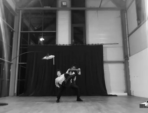 LDWTV – V&F cie.  présente son duo « Contact », crée grâce à un instrument de musique : le thérémine