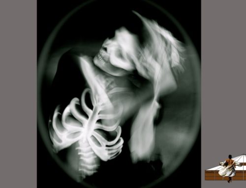 LDWTV – &lsquo;Rédemptions&rsquo; – Photos & mise en scène : Karine Saporta – Interprète : Marie-Agnès Gillot