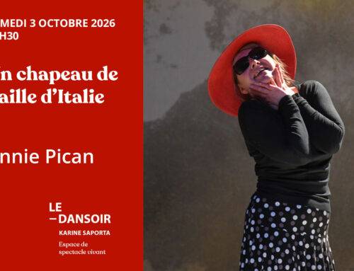 Un chapeau de paille d’Italie – Annie Pican – Samedi 3 octobre 2026 20h30